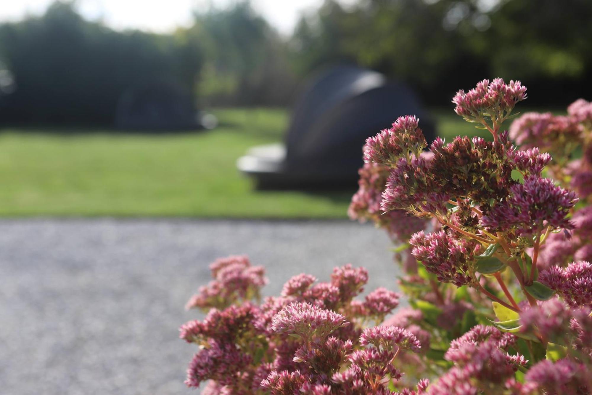 The Secret Garden - Keszthely B&B 외부 사진